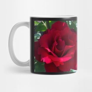 Red Rose Revolution of Love Mug